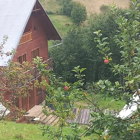 Mountains 3* Jaremtsche