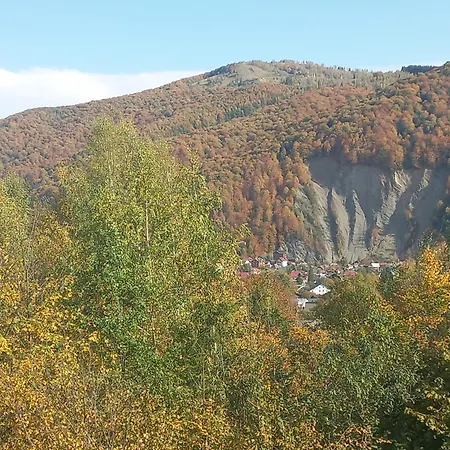 Mountains Гостевой дом Яремча