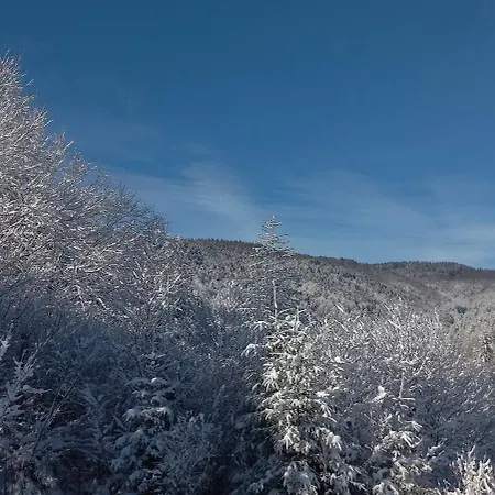 Гостевой дом Mountains Яремча
